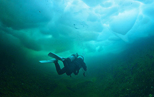 PADI Ice Diver