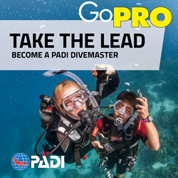 PADI Divemaster