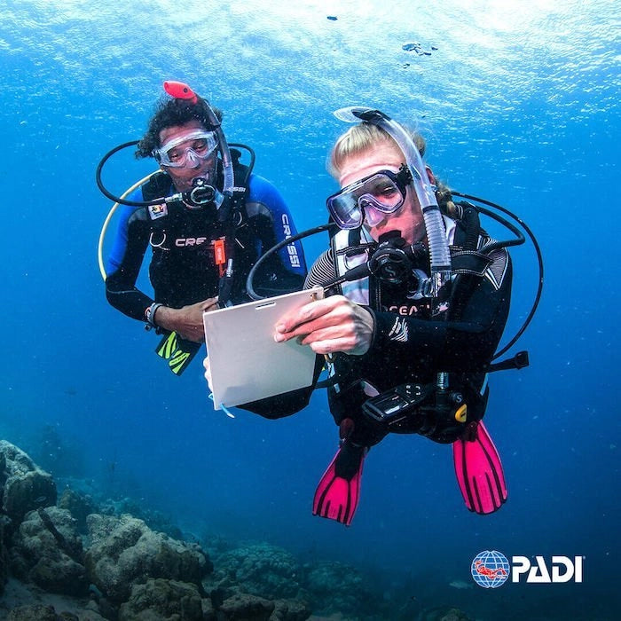 PADI Instructor Development Course (IDC)