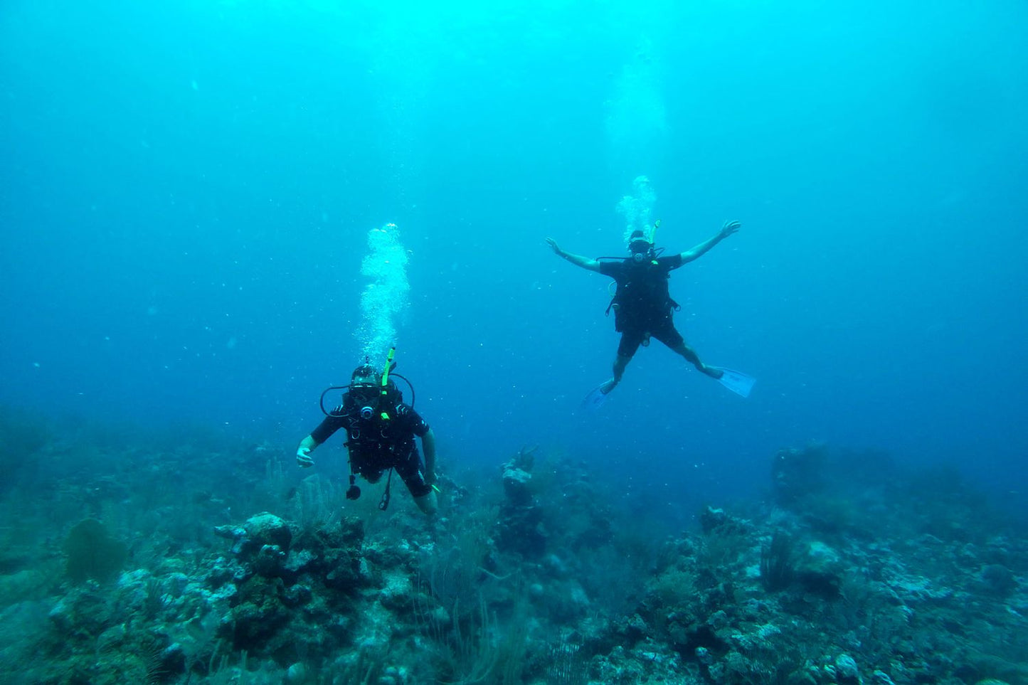 PADI Master Scuba Diver Trainer