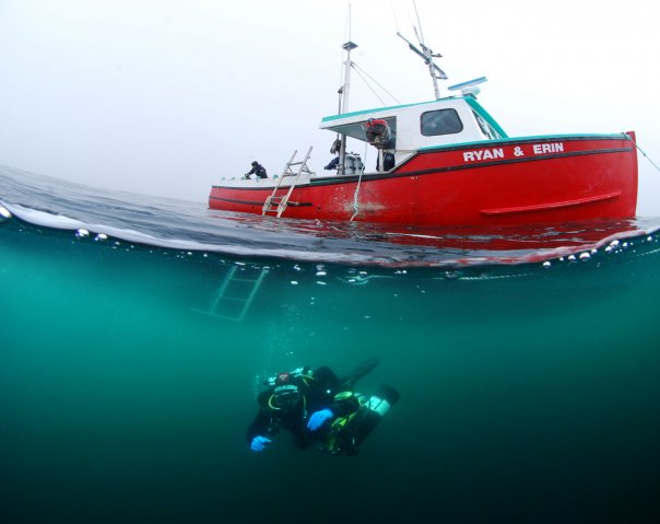 PADI Open Water Course