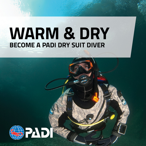 PADI Drysuit Diver