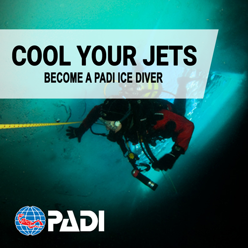 PADI Ice Diver