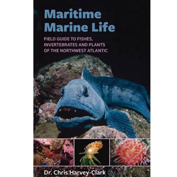 Maritime Marine Life